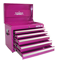 11+ Pink Rolling Tool Box